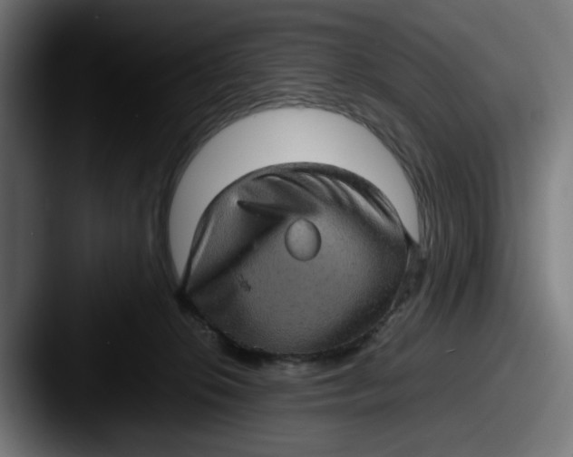 X0000087600276200705181242