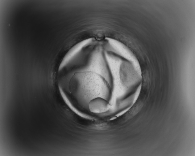 X0000087600278200705181243