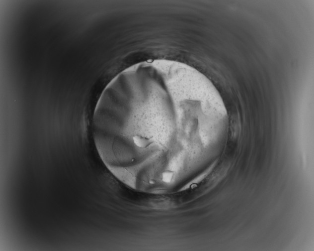 X0000087600279200705181243