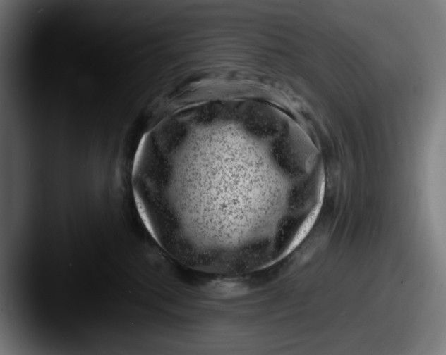 X0000087600280200705181243