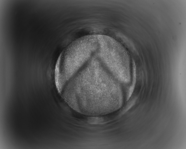 X0000087600281200705181243