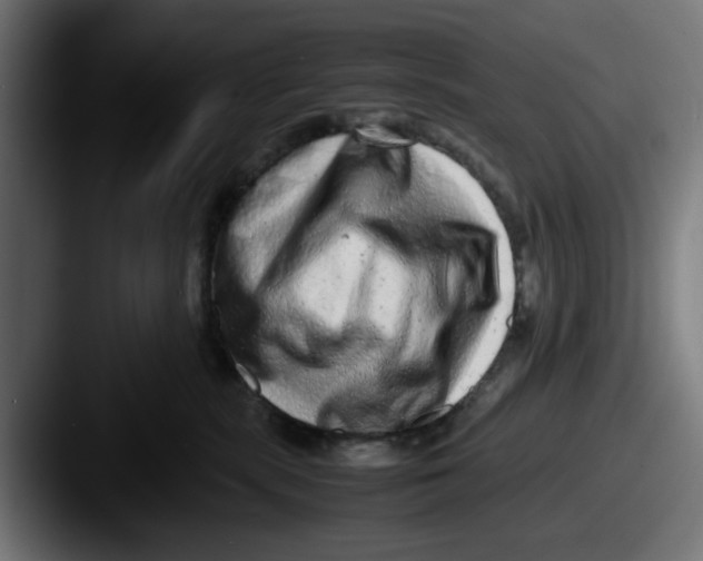 X0000087600283200705181243