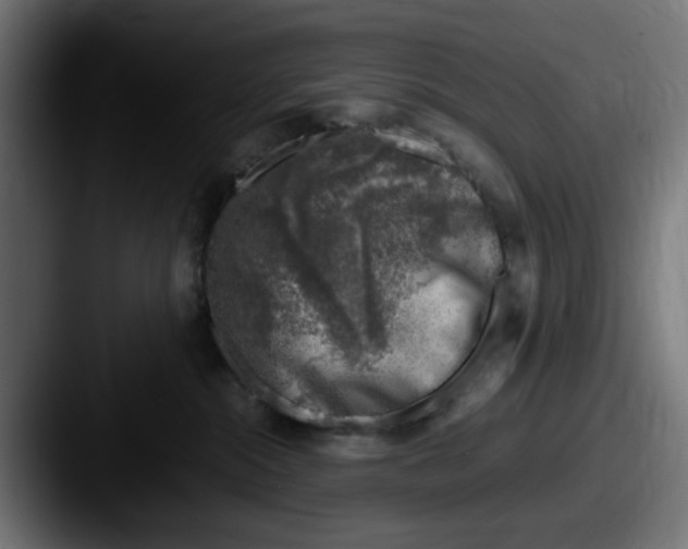 X0000087600284200705181243