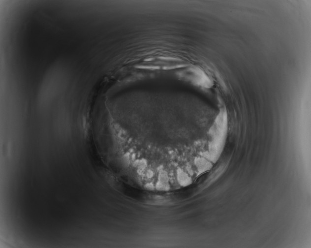 X0000087600285200705181243