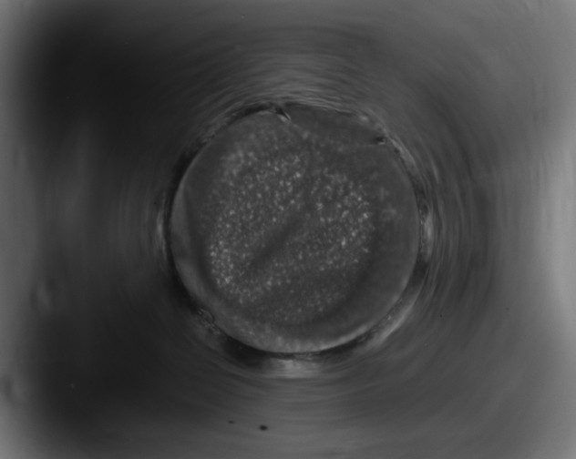 X0000087600286200705181243