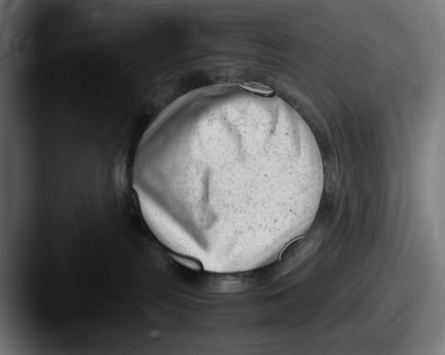 X0000087600287200705181243