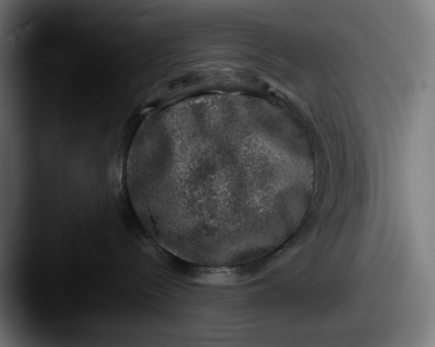 X0000087600288200705181243