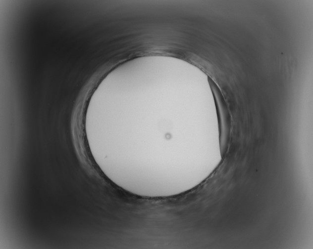 X0000087600289200705181242