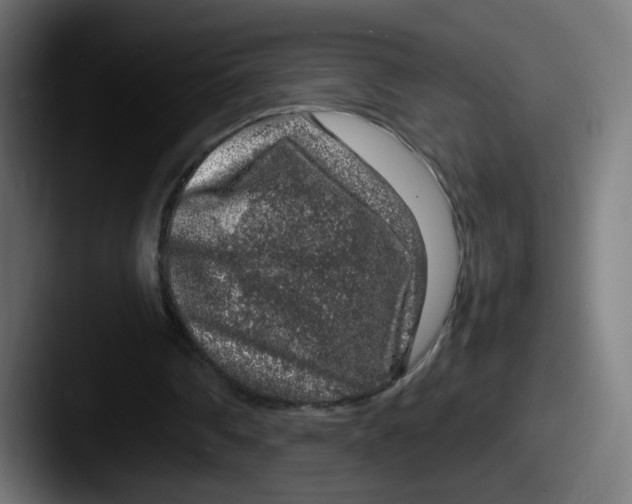 X0000087600290200705181242