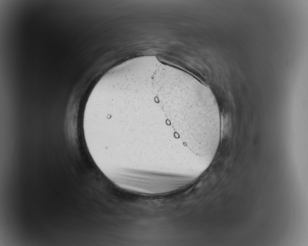 X0000087600291200705181242