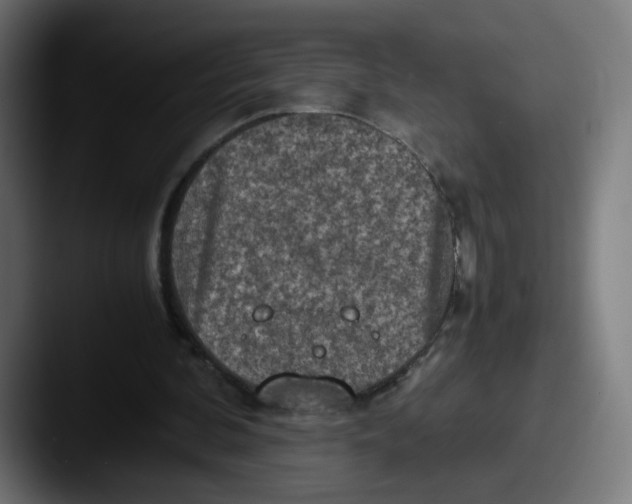 X0000087600292200705181242