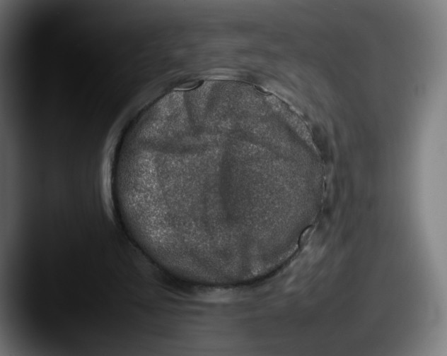 X0000087600293200705181242