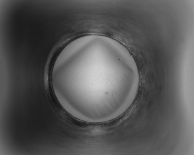 X0000087600294200705181242