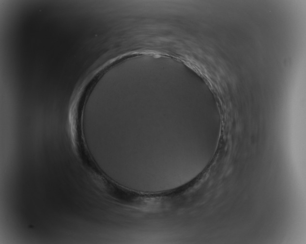 X0000087600295200705181242