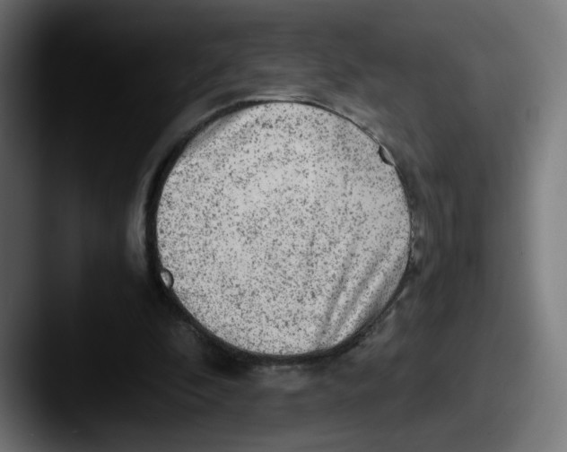 X0000087600296200705181242