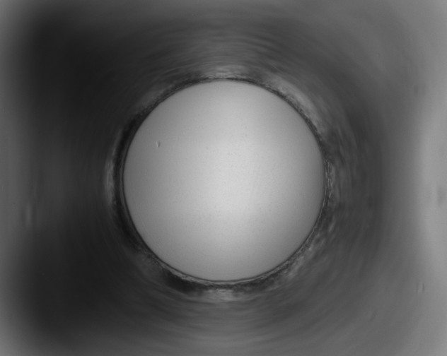 X0000087600298200705181242