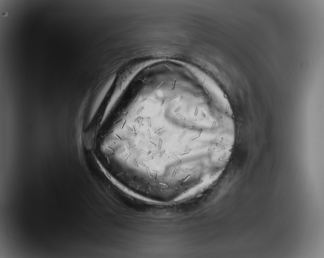 X0000087600299200705181242