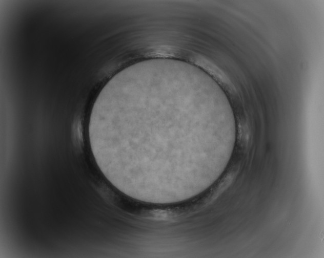 X0000087600302200705181242