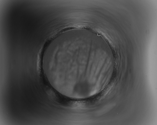 X0000087600303200705181242