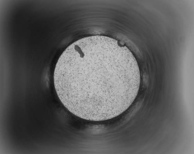 X0000087600304200705181242