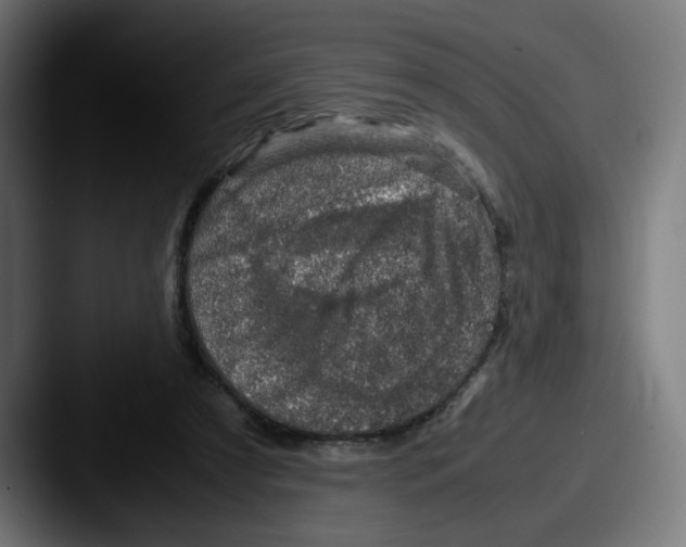 X0000087600305200705181242