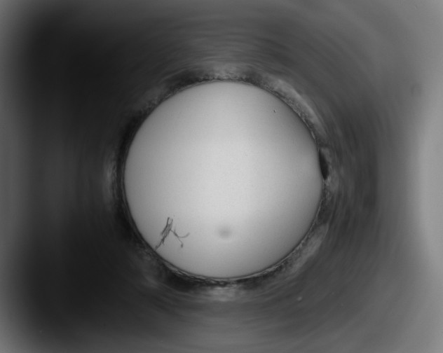 X0000087600306200705181242