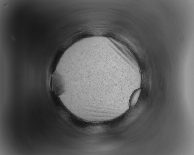 X0000087600307200705181242