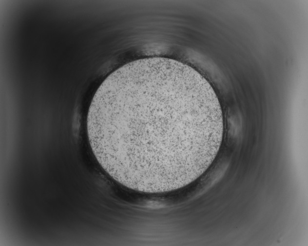 X0000087600308200705181242