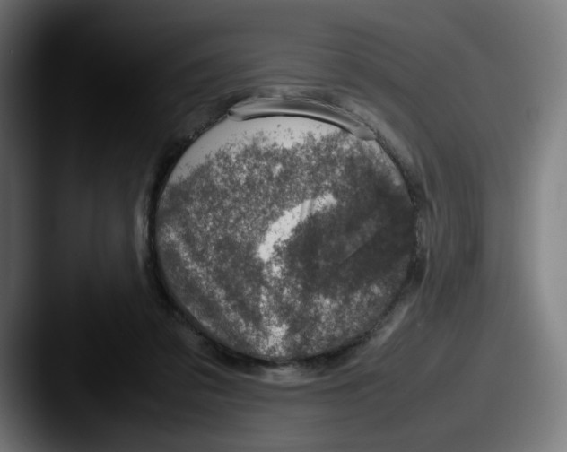 X0000087600309200705181242