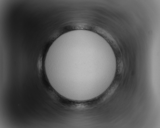 X0000087600310200705181242