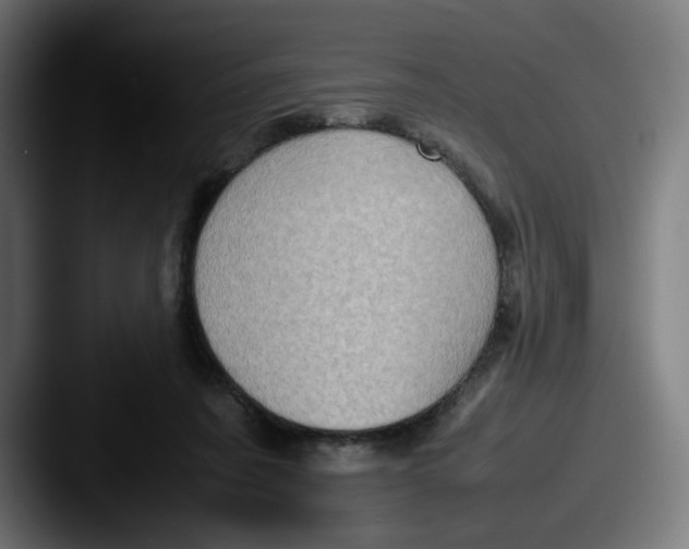 X0000087600311200705181242