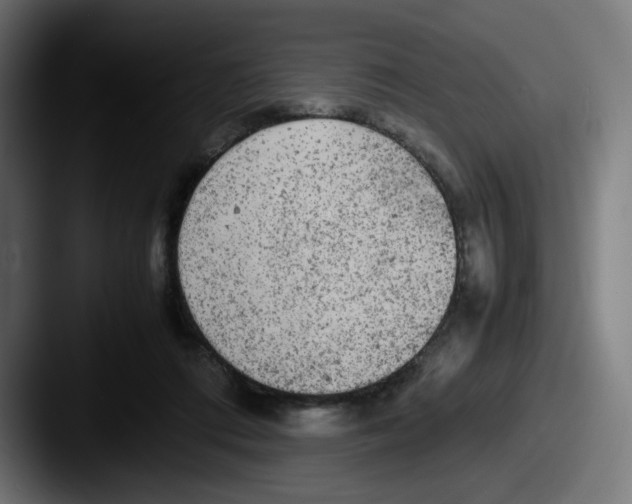 X0000087600312200705181242