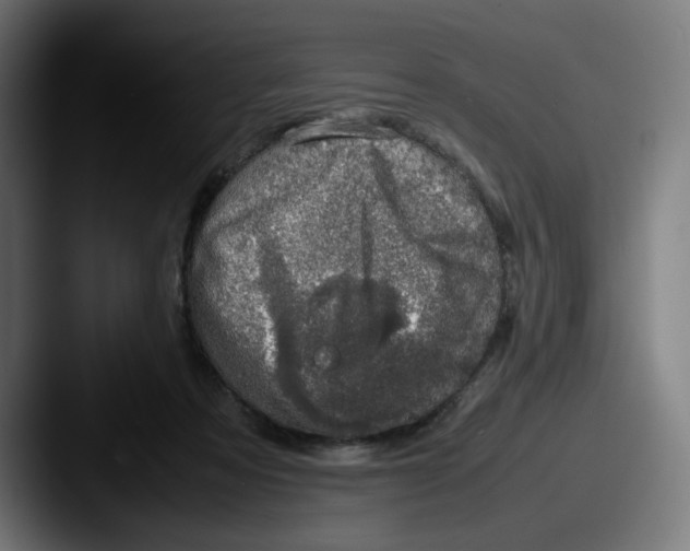 X0000087600313200705181242