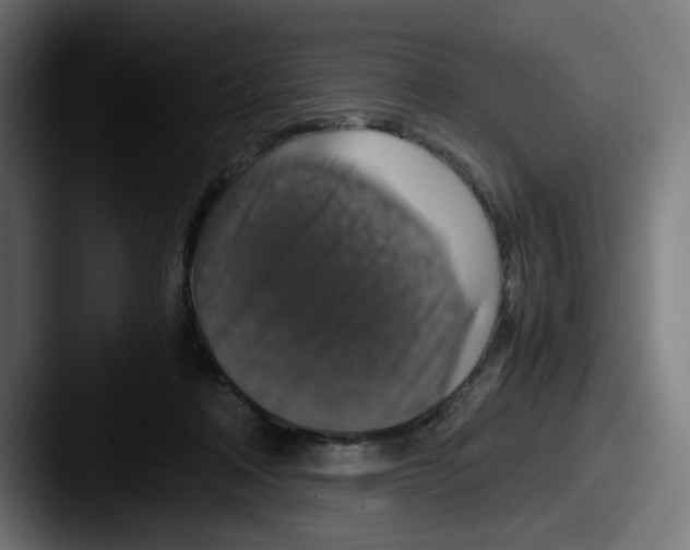 X0000087600314200705181242