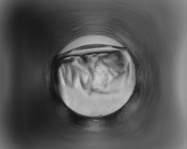 X0000087600315200705181242