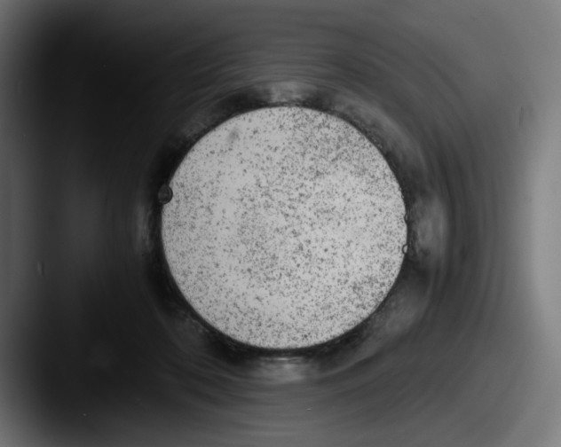 X0000087600316200705181242