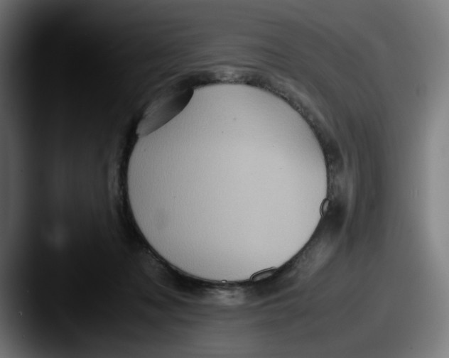 X0000087600317200705181242