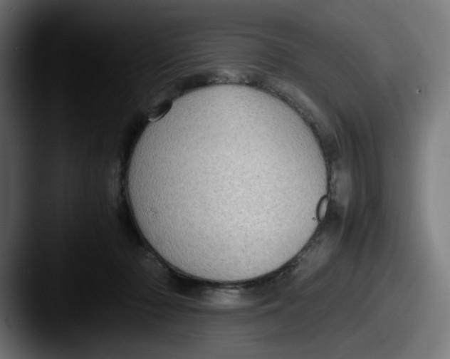 X0000087600318200705181242