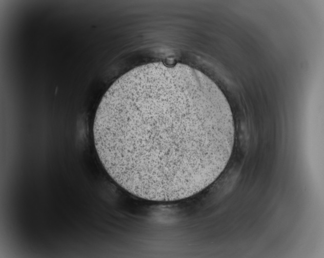 X0000087600320200705181242