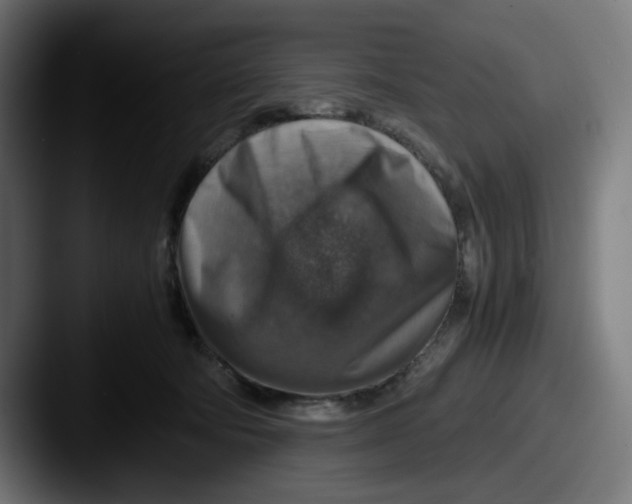 X0000087600322200705181242