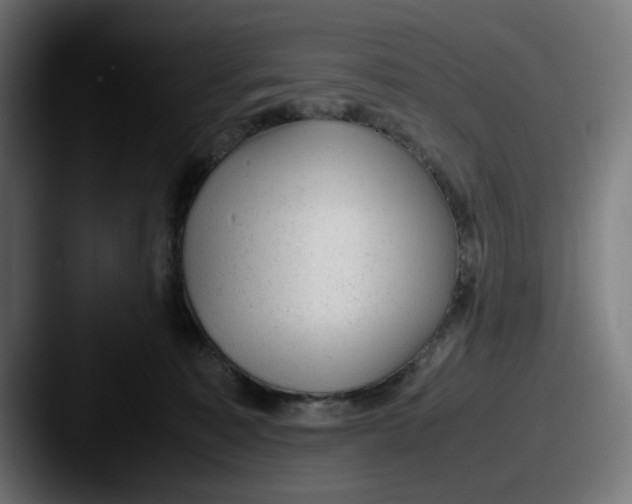 X0000087600323200705181242