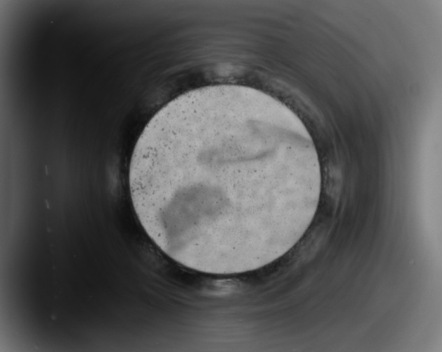 X0000087600324200705181242