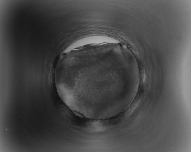 X0000087600325200705181242