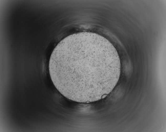 X0000087600328200705181242