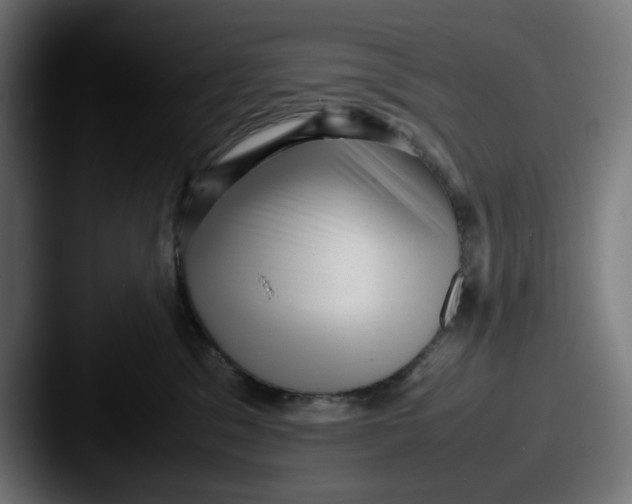 X0000087600329200705181242