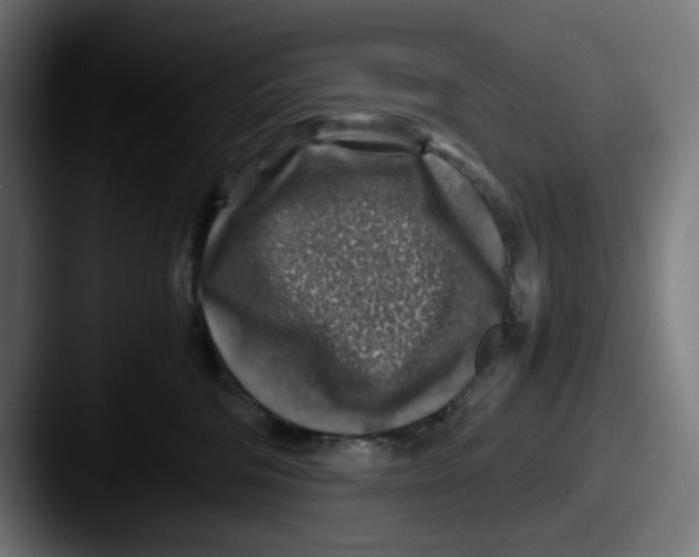 X0000087600330200705181242