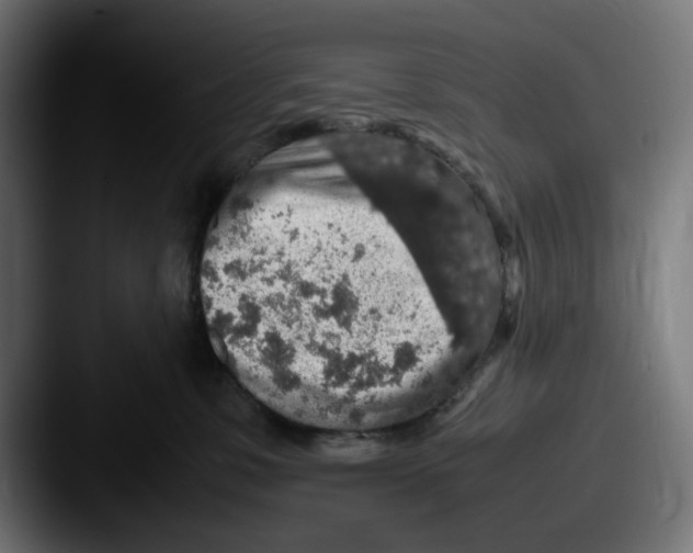 X0000087600331200705181242