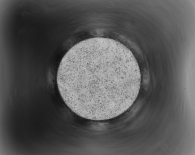 X0000087600332200705181242