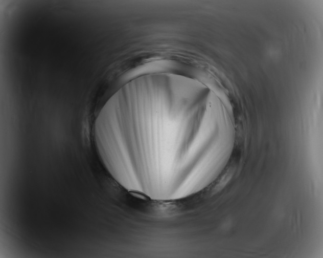 X0000087600333200705181242