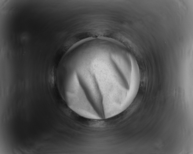 X0000087600334200705181242